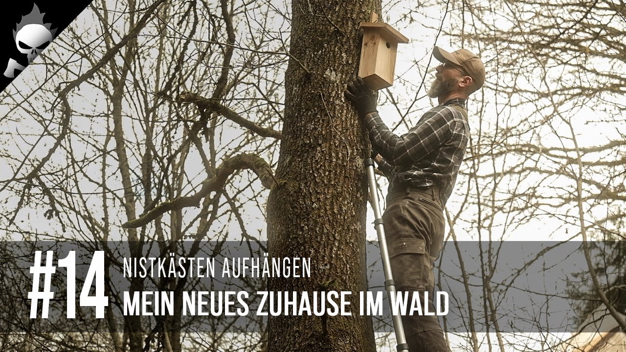 Thumbnail von diesem Video