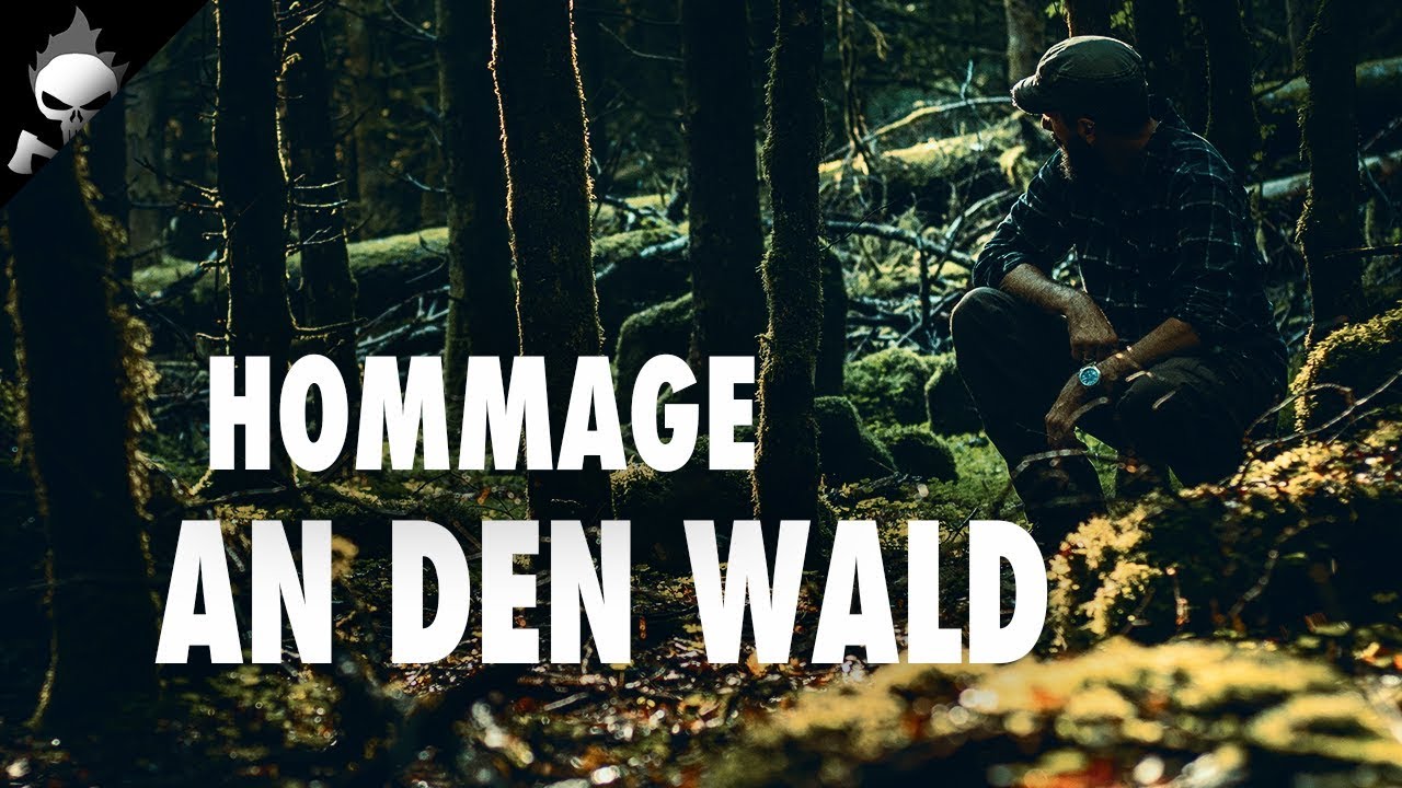 Thumbnail von diesem Video