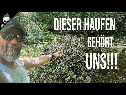 Thumbnail von diesem Video